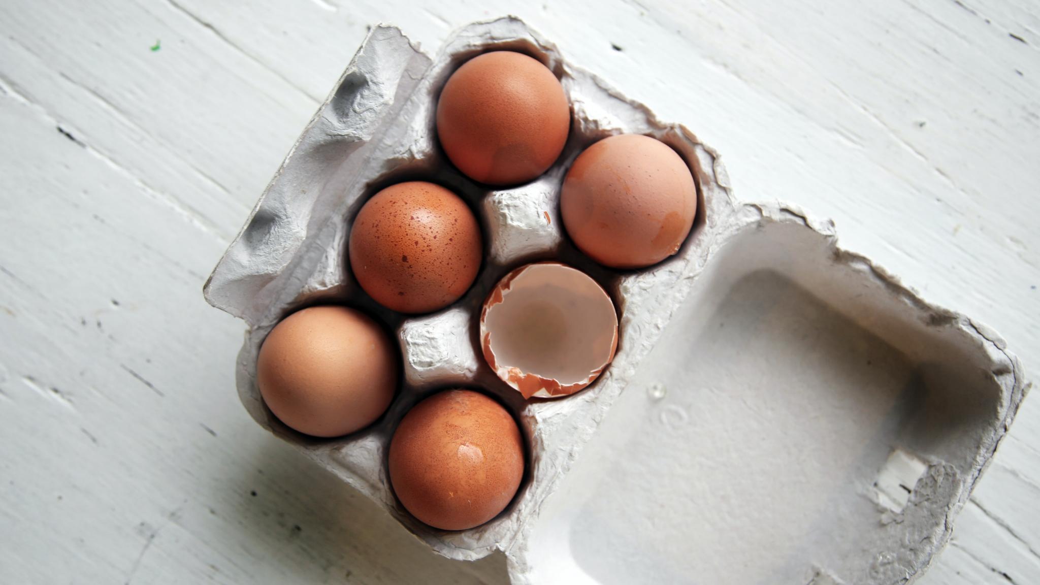 Cuisine comment savoir si un œuf est frais ou périmé ? Voici quelques astuces Max