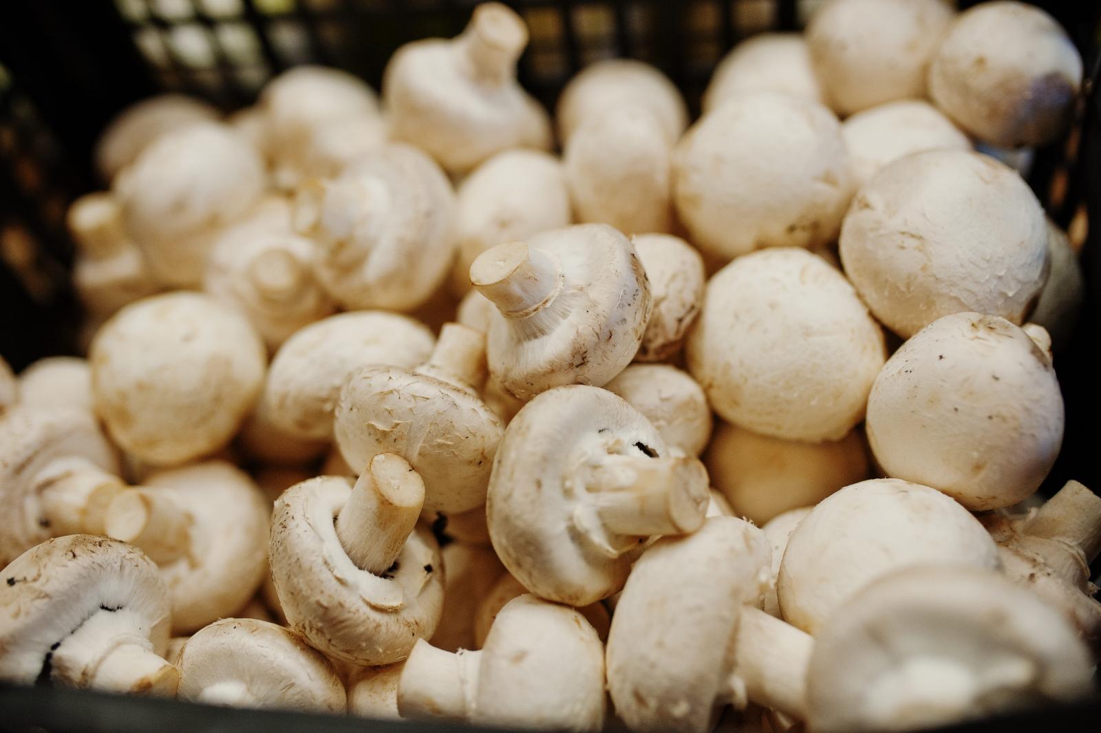 Cette erreur à ne plus faire en nettoyant ses champignons 