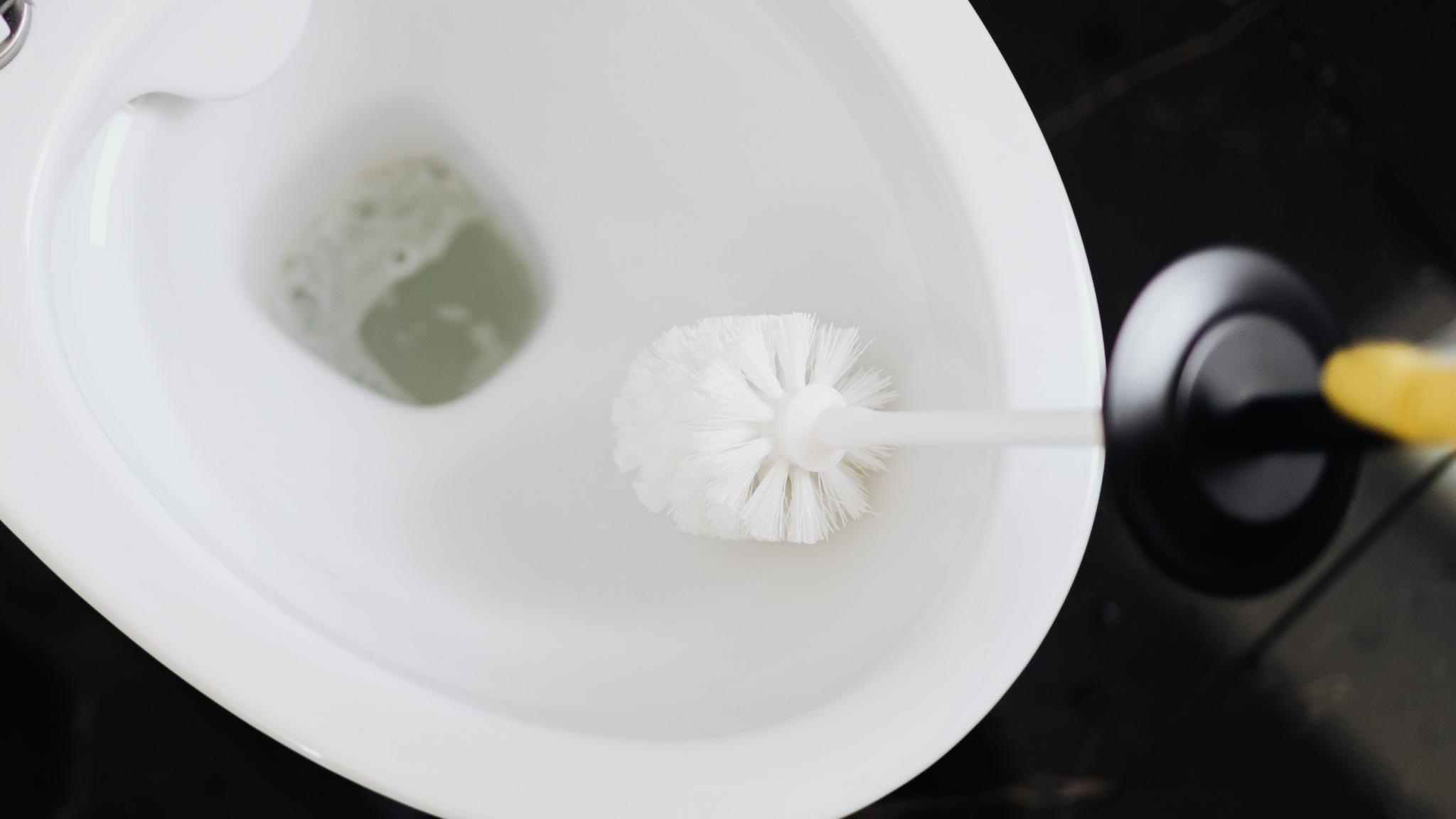 Hygiène voici comment nettoyer parfaitement la brosse de vos toilettes Max