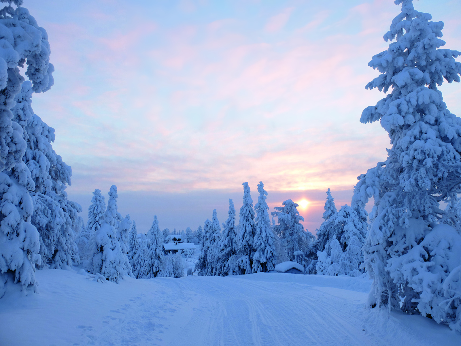 Bepergian ke Lapland: apa yang harus dilakukan di negeri Sinterklas?
