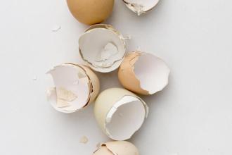 Lavage des œufs avant la cuisson : L'erreur à ne pas commettre !