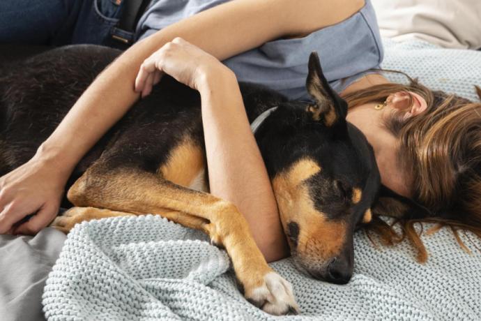 Vous dormez avec votre chien ? Vous devriez éviter